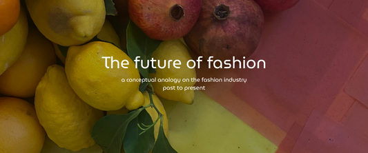 The future of fashion - a conceptual analogy on the fashion industry past to present
