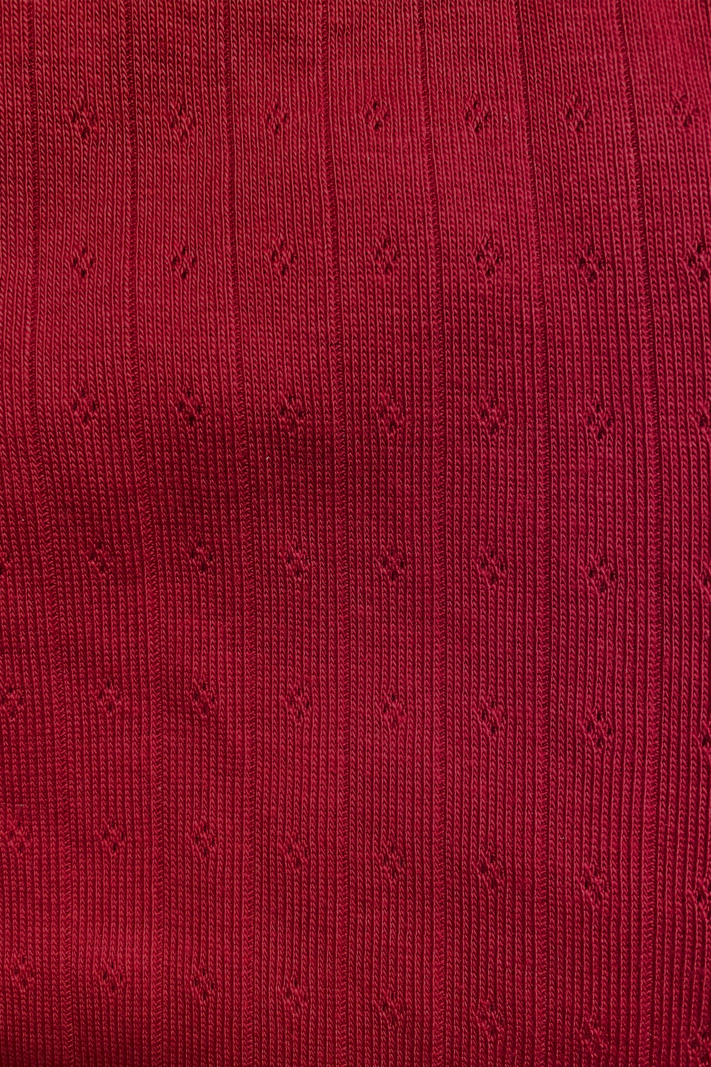 AJA - Ribbed Cotton Pointelle Pant